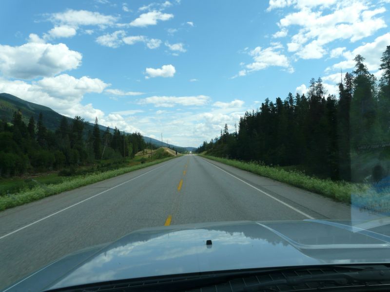 P1020131.jpg