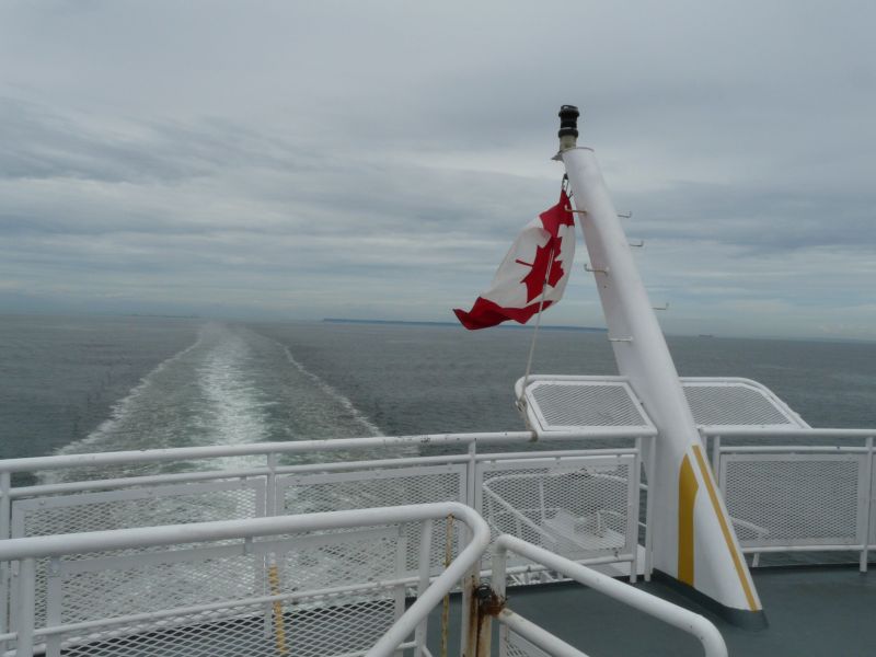 P1020946.jpg