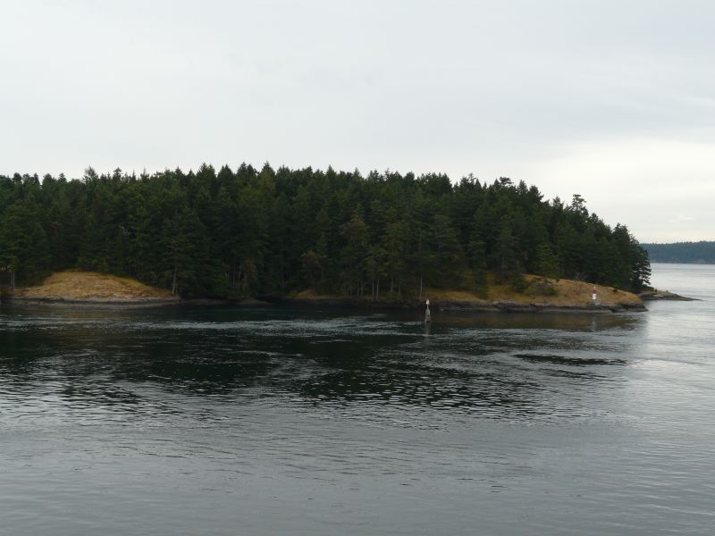 P1020963.jpg