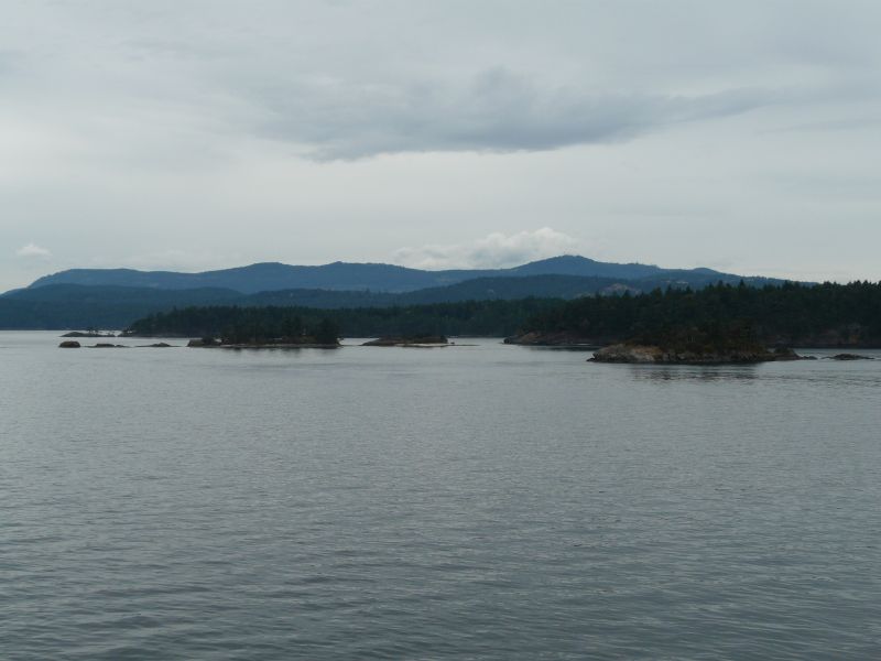 P1020971.jpg