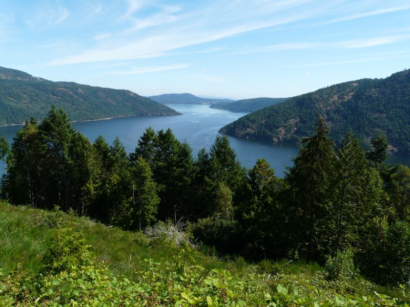 P1030007.jpg