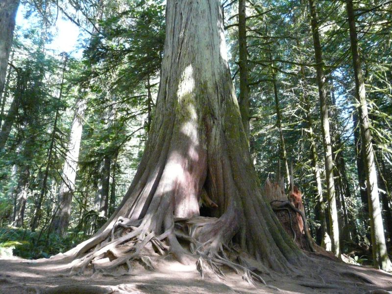 P1030164.jpg