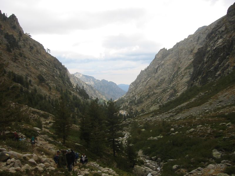 IMG_7811.jpg