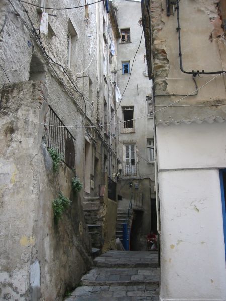 IMG_7888.jpg