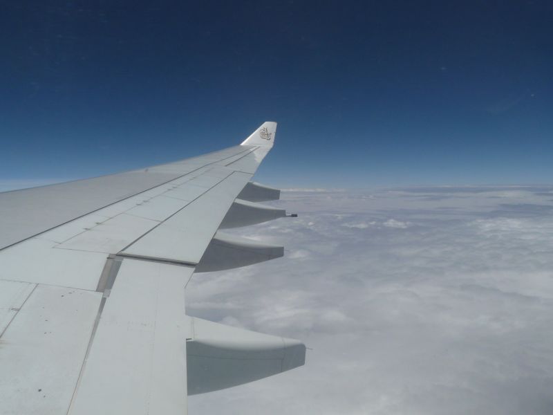 P1060491.jpg