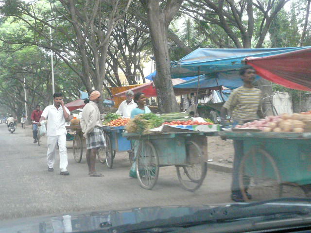P1060564.JPG