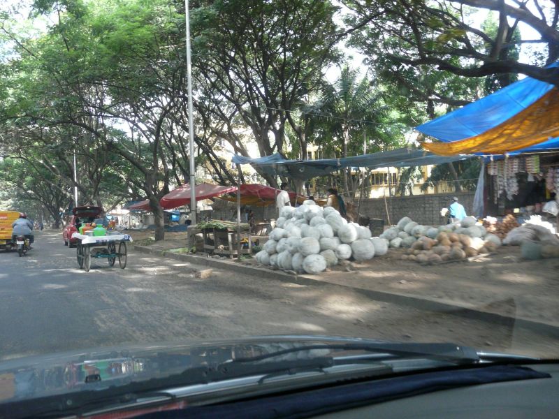P1060656.jpg