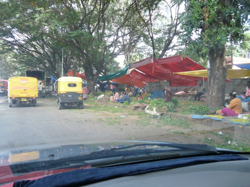 P1060659.jpg