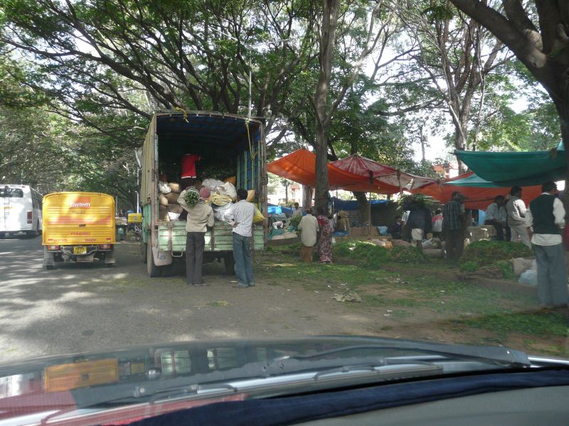 P1060660.jpg