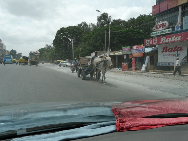 P1060758.jpg