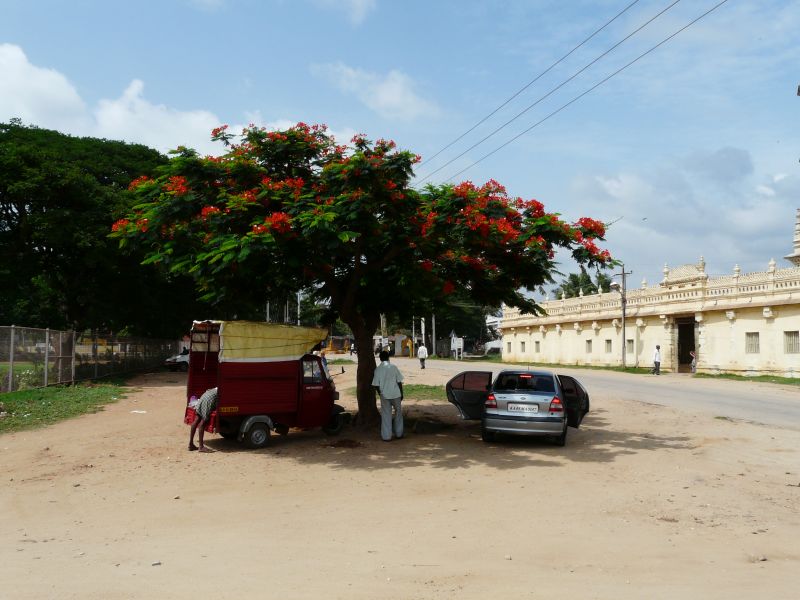 P1060890.jpg