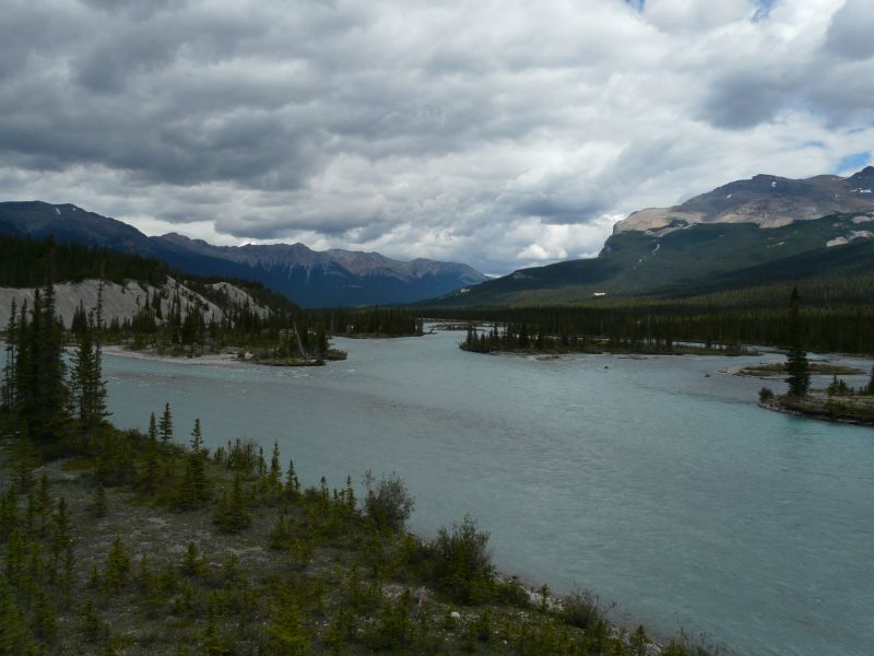 P1020029.jpg