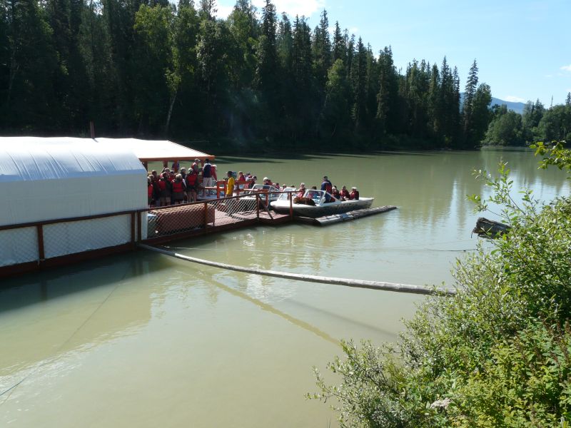 P1020176.jpg