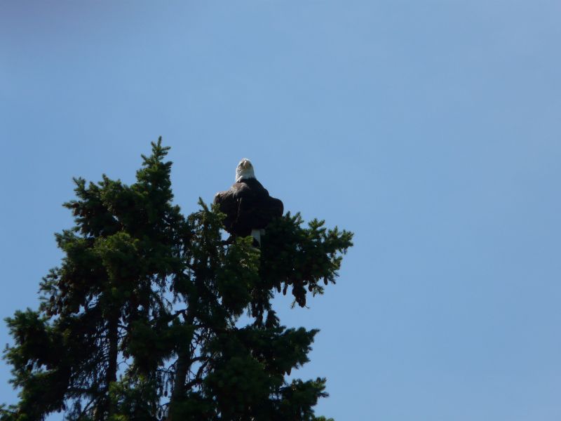 P1020194.jpg