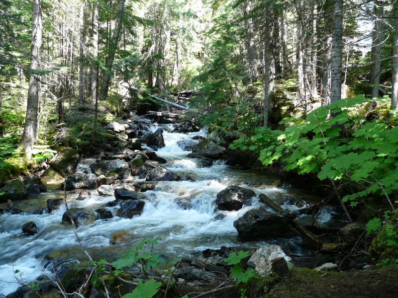 P1020253.jpg