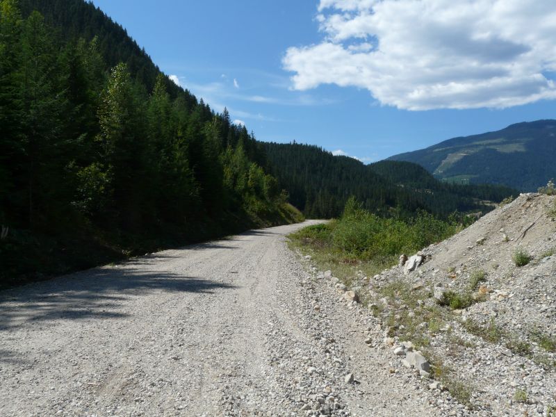 P1020284.jpg