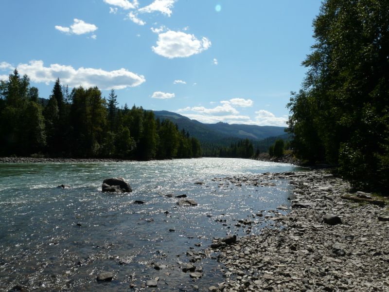 P1020292.jpg