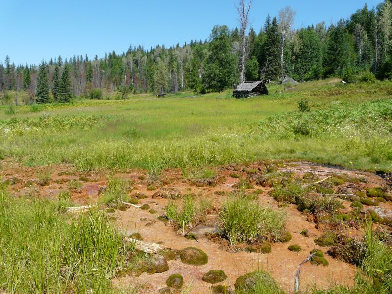 P1020331.jpg