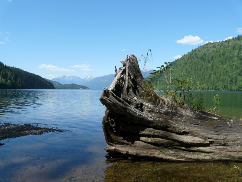 P1020365.jpg