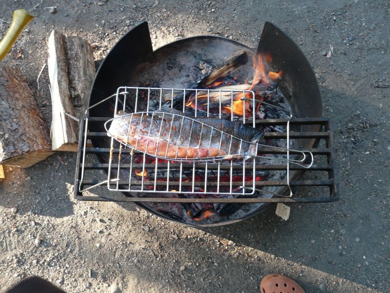 P1020411.jpg
