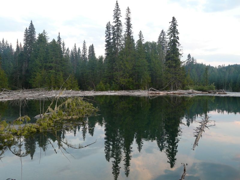 P1020428.jpg