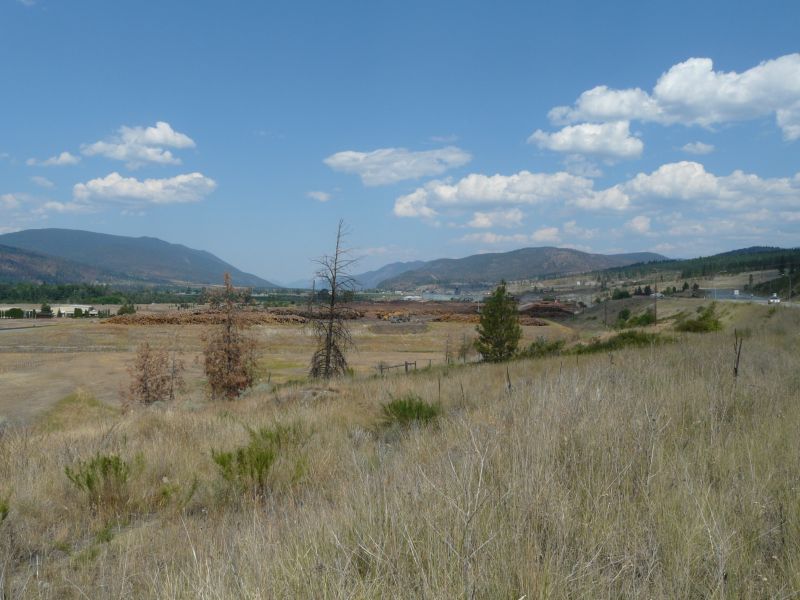 P1020466.jpg