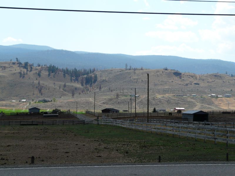 P1020474.jpg