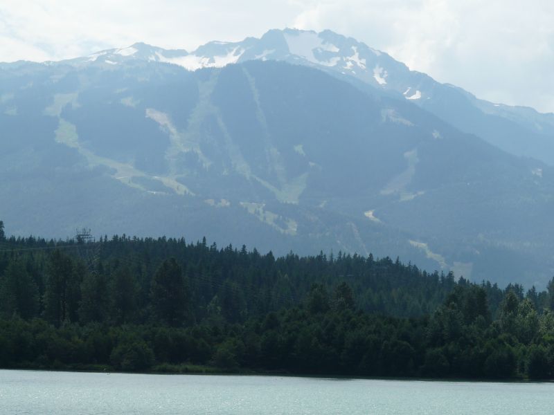 P1020567.jpg