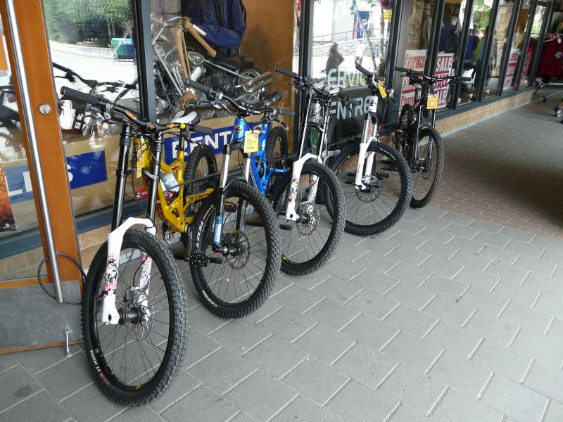 P1020575.jpg