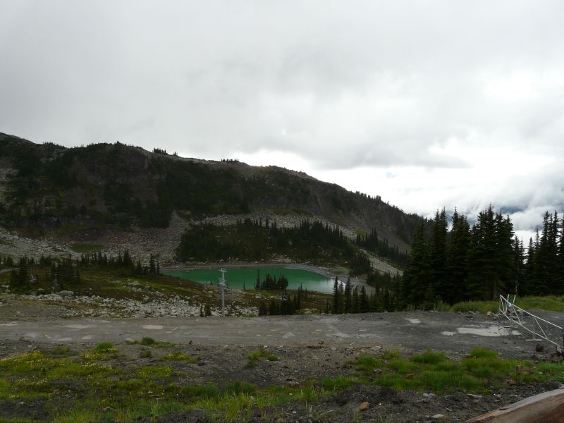 P1020655.jpg