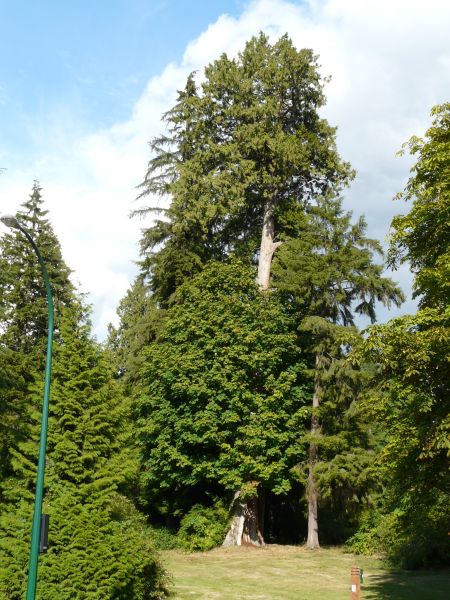 P1020739.jpg