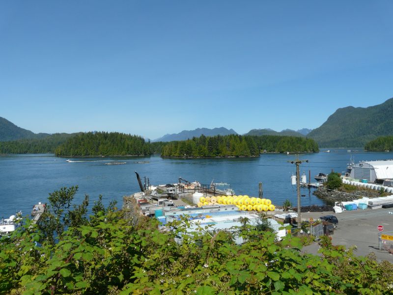 P1030218.jpg