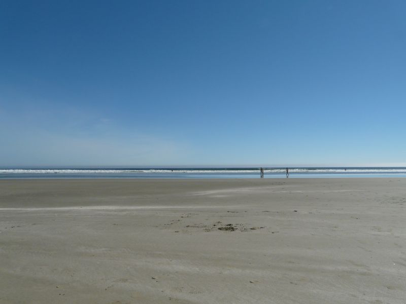 P1030232.jpg