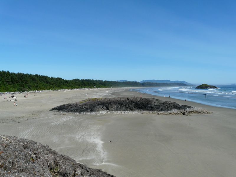 P1030237.jpg