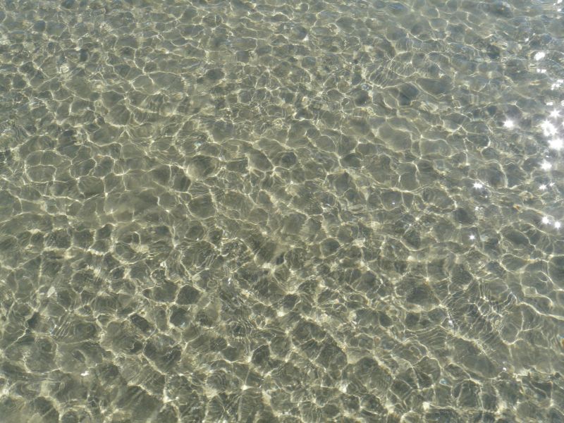 P1030265.jpg