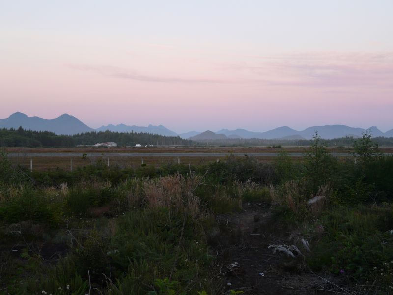 P1030302.jpg