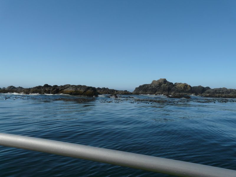 P1030330.jpg