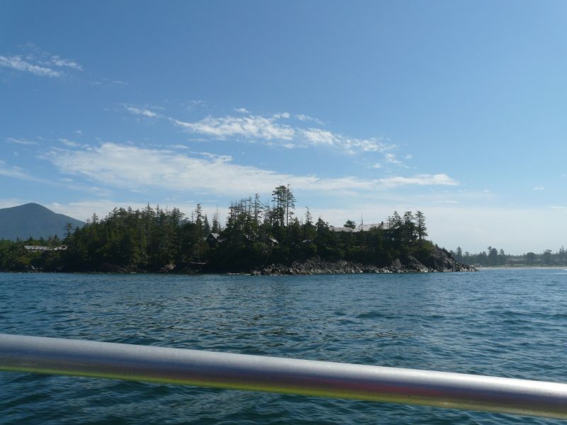 P1030407.jpg