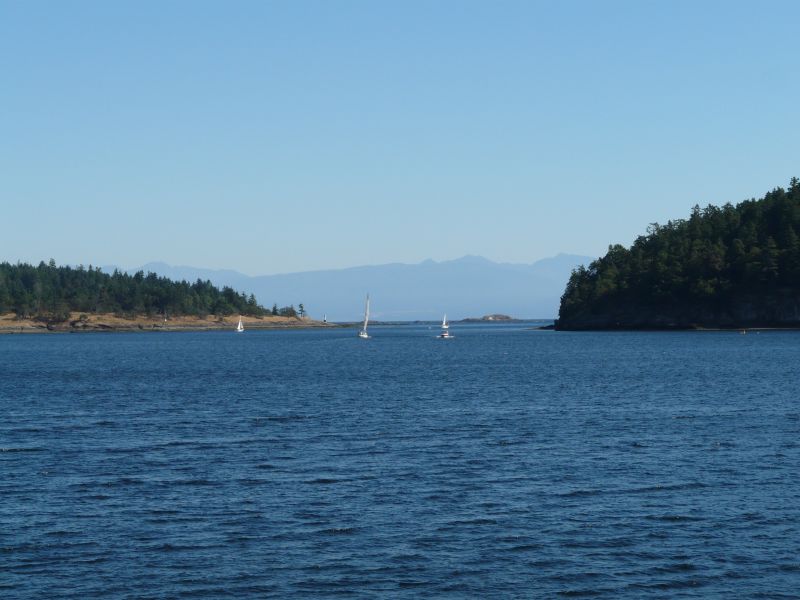 P1030512.jpg