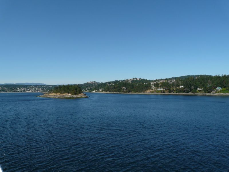 P1030526.jpg
