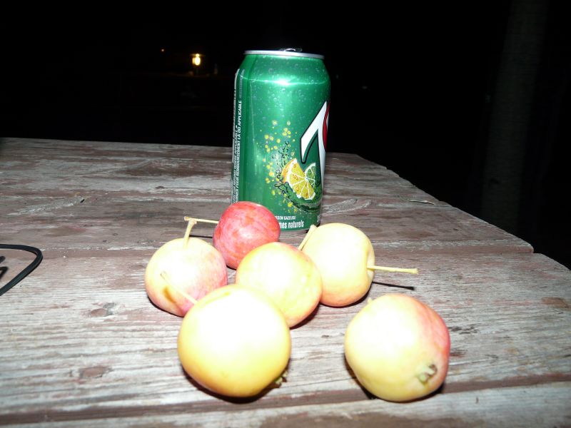 P1030628.jpg