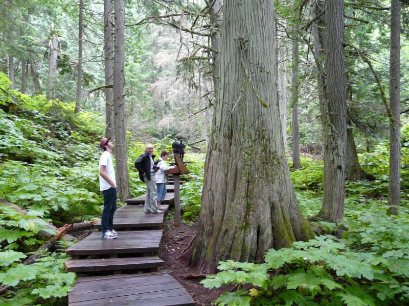 P1030728.jpg