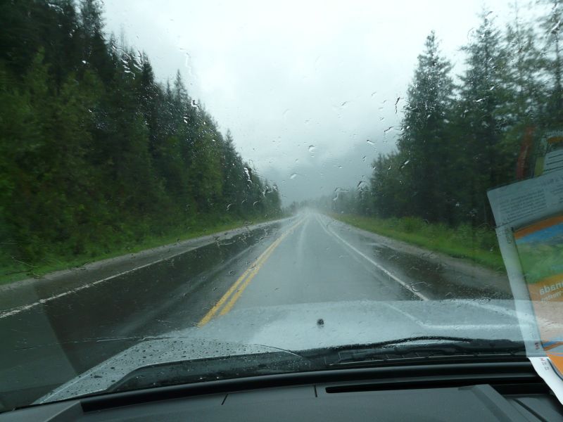 P1030749.jpg