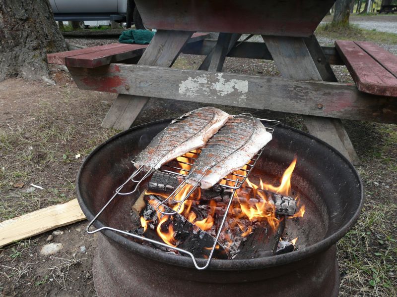 P1030756.jpg