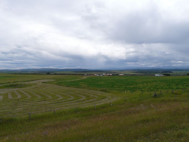 P1030794.jpg