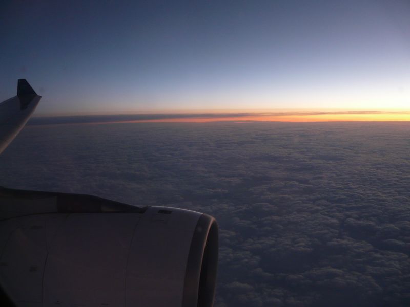 P1030864.jpg