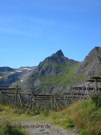 3554.jpg
