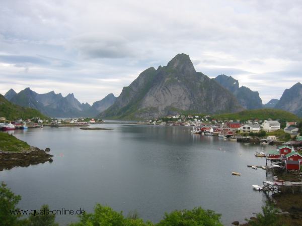 3596.jpg