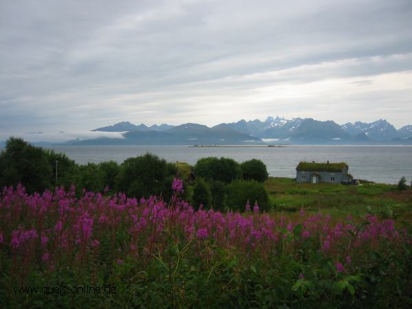 3749.jpg