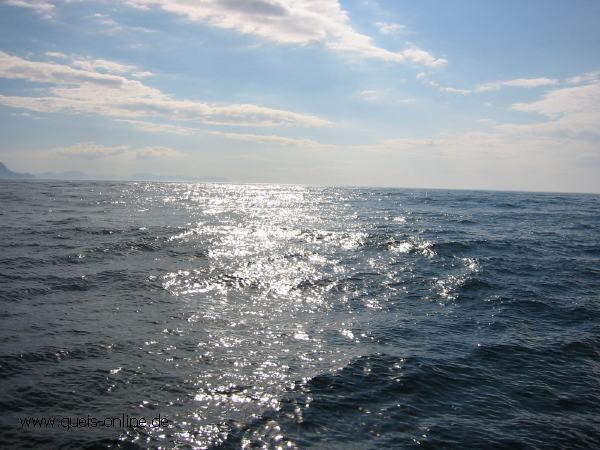 3862.jpg